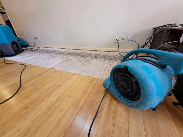 Reliable Crawl Space Water Removal contractor in Apex, NC by Hirex Water Damage