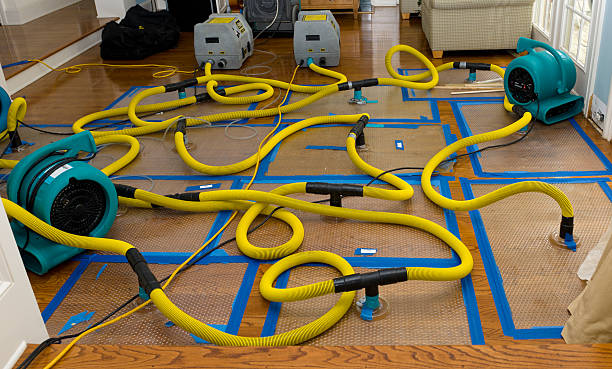 Professional Crawl Space Water Removal technician working in Apex, NC
